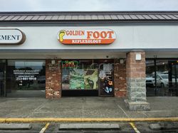 Massage Parlors Federal Way, Washington Golden Foot