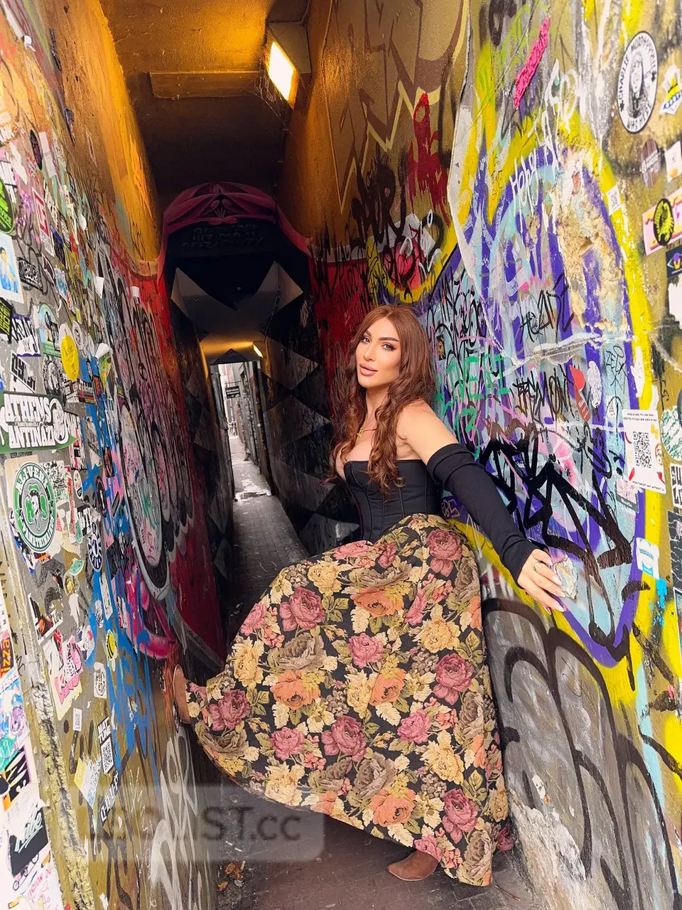 Escorts Toronto, Ontario Nisren نسرين
