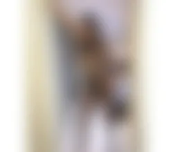 Escorts London, England TS RIHANNA 🌺💖💙 New TS in the area 💋
