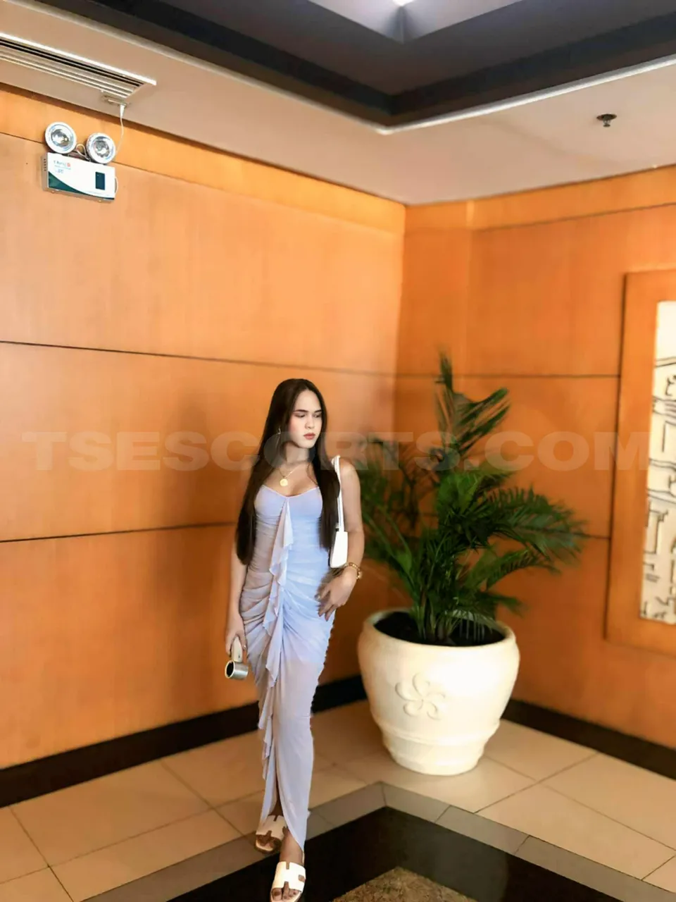 Escorts Cebu City, Philippines MONSTER DICK🍆💦