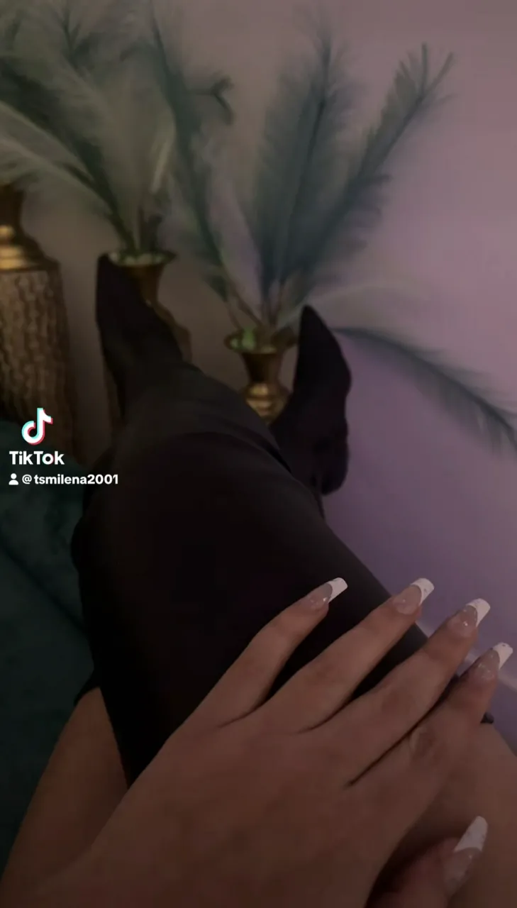 Escorts Miami, Florida BlueEye