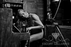 Escorts Dusseldorf, Germany null