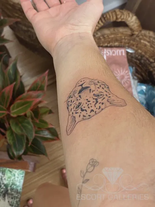 Escorts Dallas, Texas Laurab6