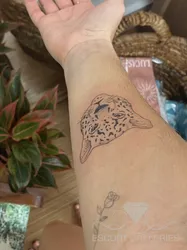 Escorts Dallas, Texas Laurab6