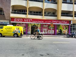 Dubai, United Arab Emirates Bird Nest Acupunture Clinic