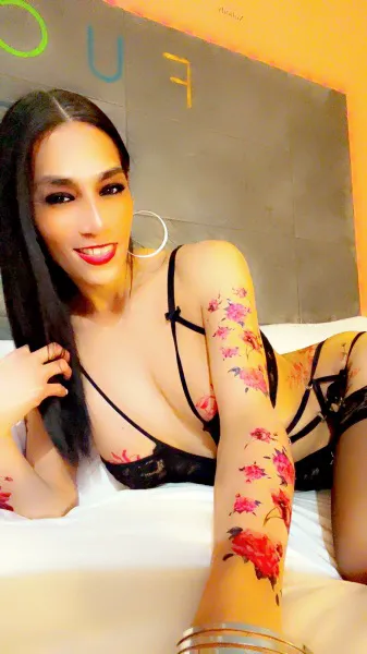 Escorts Houston, Texas LATNTRANSY