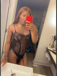 Escorts Fort Lauderdale, Florida LEXXI N' hollywood !!!!!!!!! parTY GIRL HERE!!!! HORNY && READY