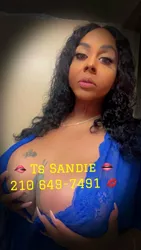 Escorts San Antonio, Texas Sandie