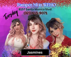 Escorts Los Angeles, California PamperMi Spa Top