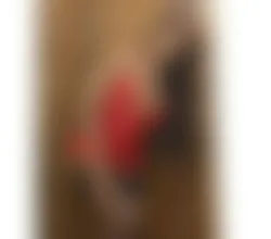 Escorts Epsom, England 🍆Shemale LIMITED TIME NEW 🍆TRANS LANA TS