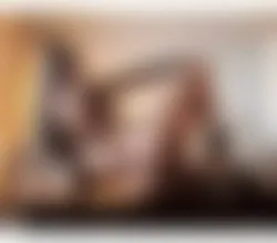 Escorts Manchester, England TS AGATHA - BRAZILIAN GIRL