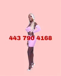 Escorts Philadelphia, Pennsylvania TsBarbie