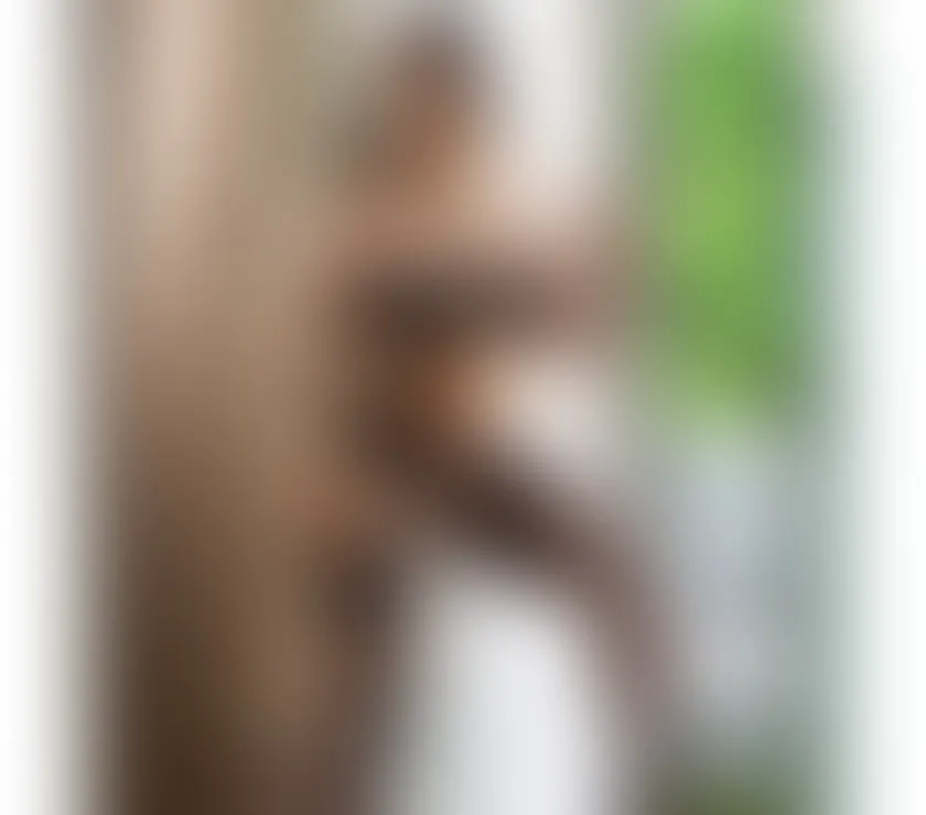 Escorts Leeds, England Mikaela Brazilian 🇧🇷 TS 💯Real