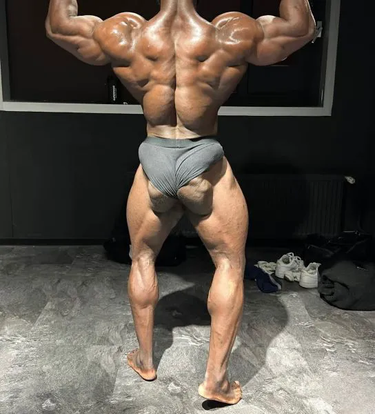 Escorts Montreal, Quebec Jamesfit