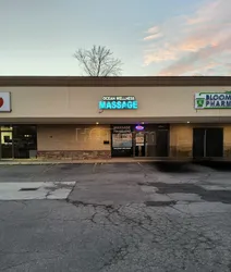 Livonia, Michigan Ocean Wellness & Massage