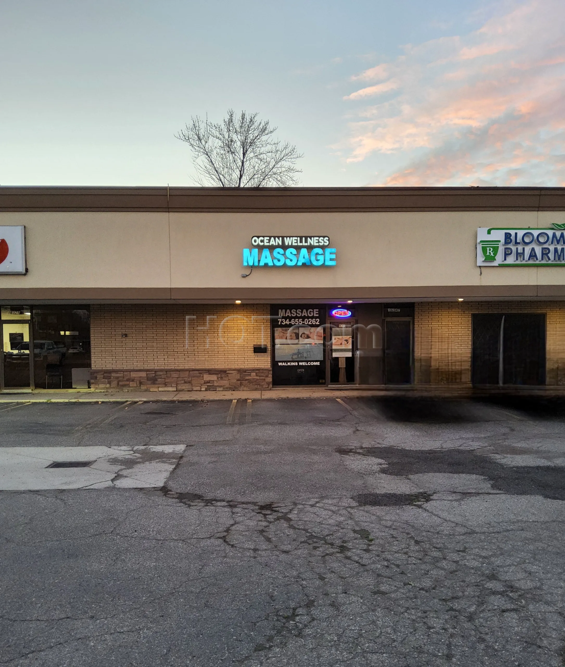 Livonia, Michigan Ocean Wellness & Massage