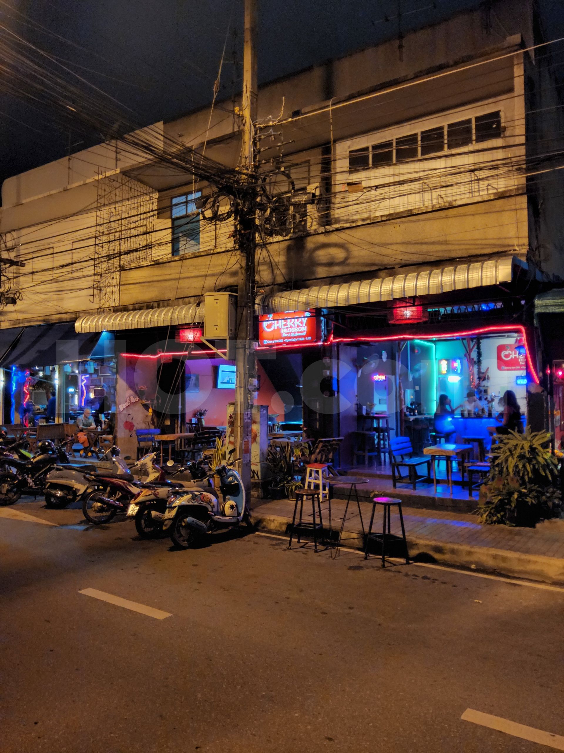 Chiang Mai, Thailand Cherry Blossom Bar