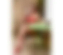 Escorts Horsham, England 🔥👅 Ts Mona Sexy Thai Ladyboy 💋🔥
