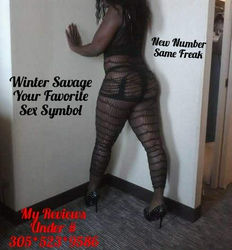 Escorts Miami, Florida Winter Savage