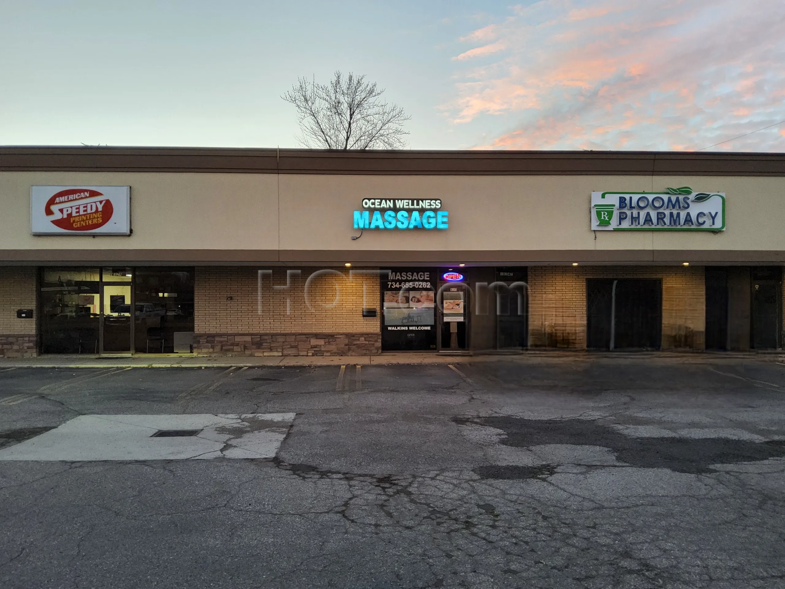 Livonia, Michigan Ocean Wellness & Massage