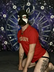 Escorts Morgantown, West Virginia PupMiloAndAXL