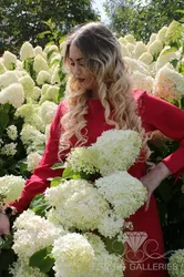 Escorts Moscow, Russia Viktoria