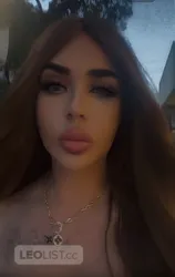 Escorts Toronto, Ontario Tota