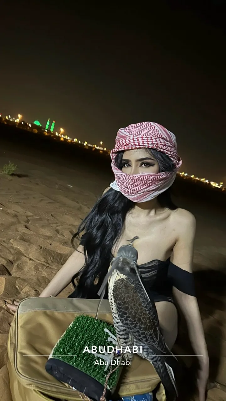 Escorts Abu Dhabi, United Arab Emirates Reem Post op 88