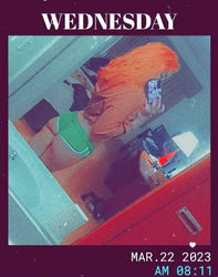 Escorts Detroit, Michigan Cali