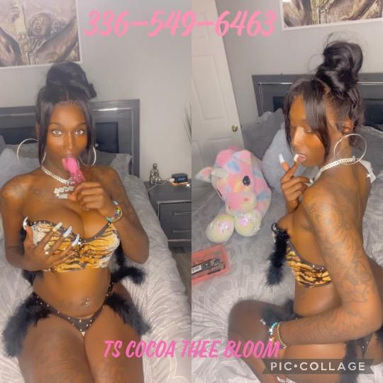 Escorts Greensboro, North Carolina Cocoa