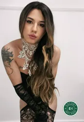Escorts Dublin, Ireland Cassie TV