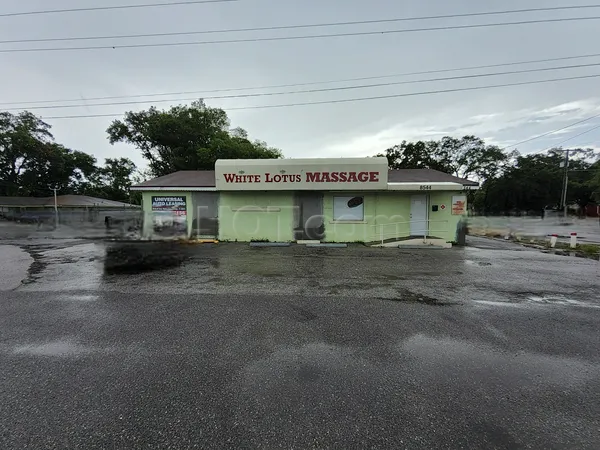 Massage Parlors Tampa, Florida White Lotus Massage Spa