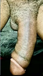 Escorts Sarasota, Florida TS Shooter Milan