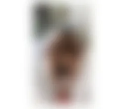 Escorts Gloucester, England ONLY OUTCALL NATASHA IN TOWN NO RUSH TS GIRL GENUINE