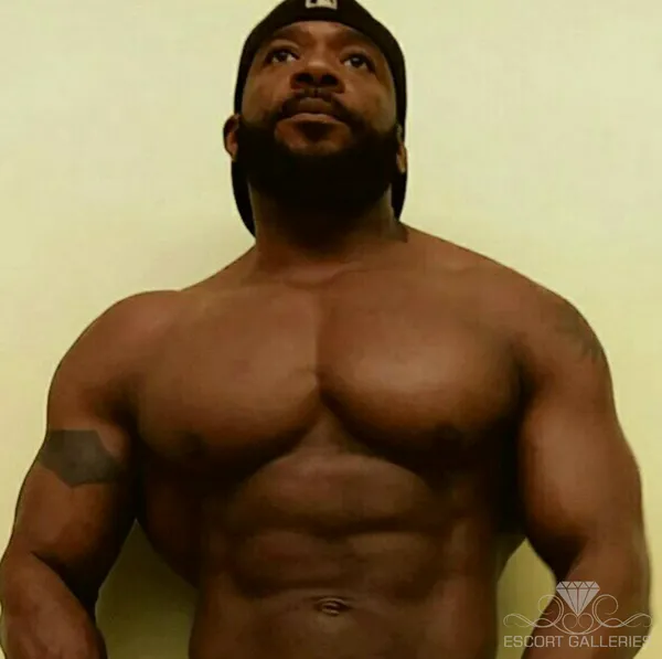 Escorts New York City, New York null