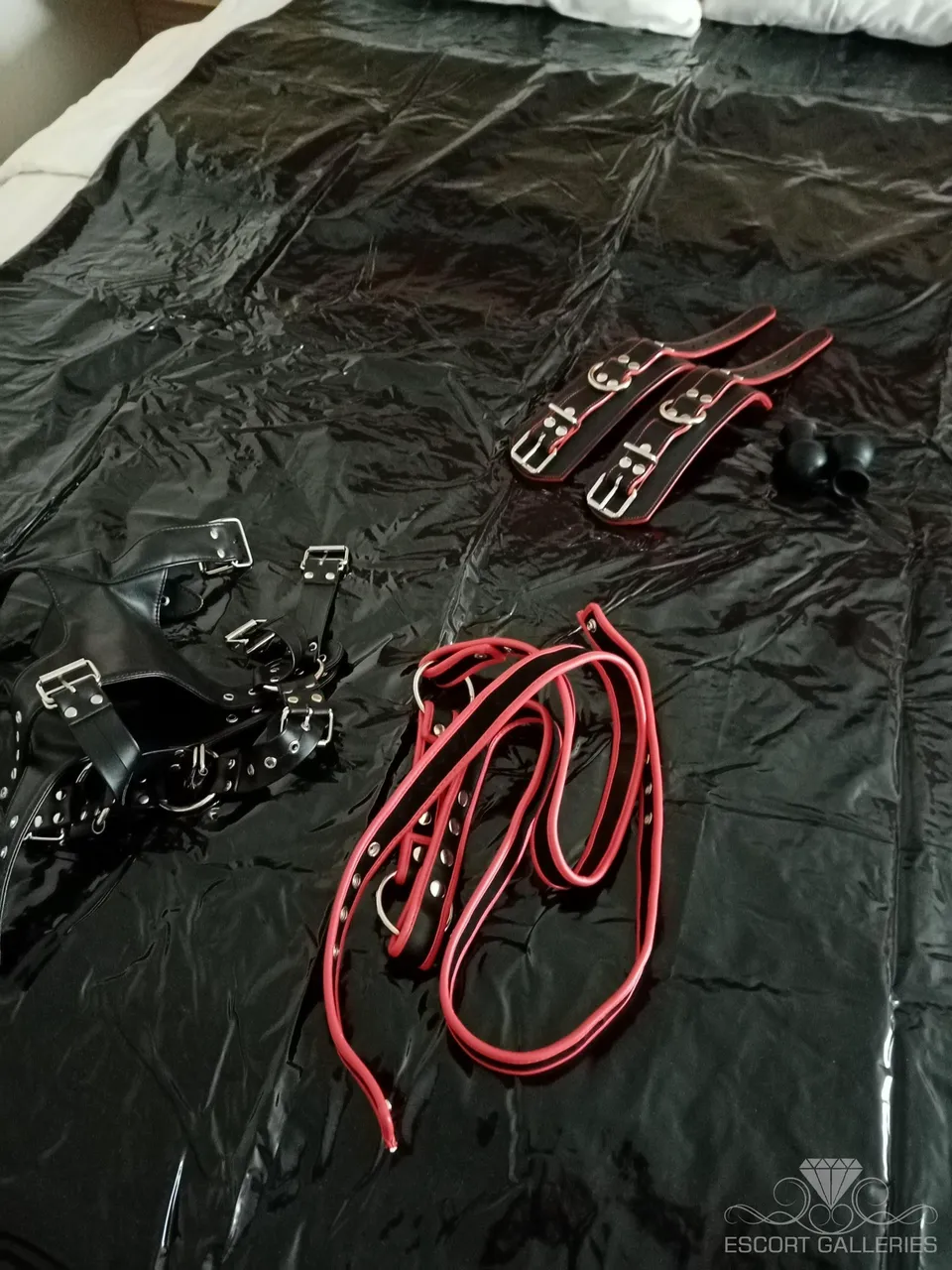 Escorts Munich, Germany LeonMaster