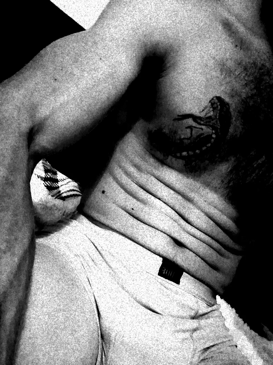 Escorts Germany Mike Voss