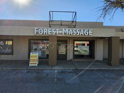 Massage Parlors Midland, Texas Forest Massage