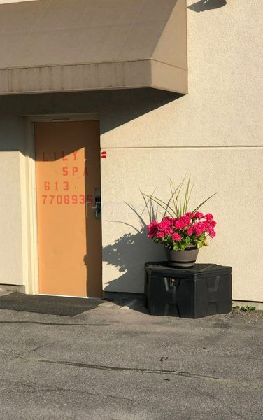 Massage Parlors Belleville, Ontario Lily Spa