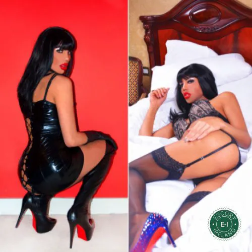 Escorts Louth, Ireland XL Kimber TV