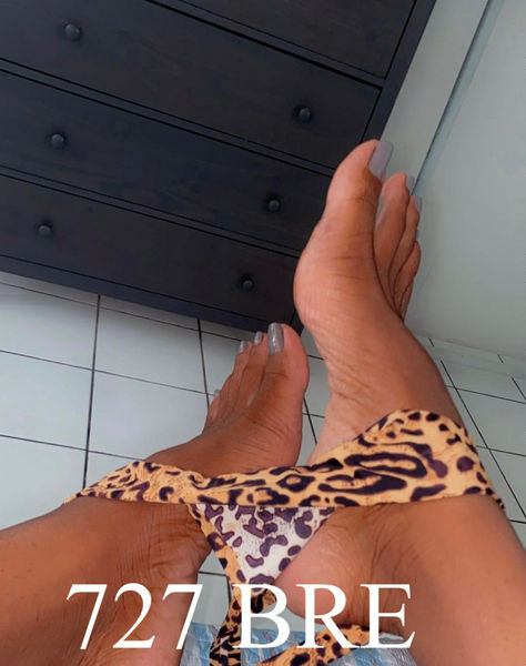 Escorts Tampa, Florida Breanna Milan