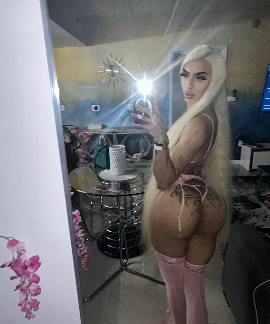 Escorts San Jose, California Royal Alex 🖤🐰