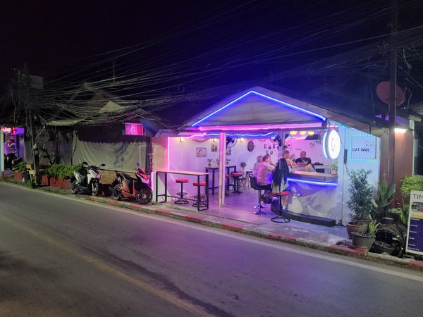 Beer Bar / Go-Go Bar Ko Samui, Thailand Cat Bar