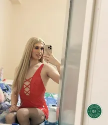 Escorts Louth, Ireland TV Foxy